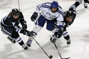 华体会app-《FIFA》线上世界杯预选赛火爆开赛，期待中国队表现，fifa世界杯官网